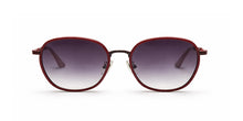 Rubin 9952 C06