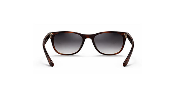 Ray-Ban 0RB3548N004/7154
