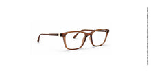Vue TRMJ25007 Brown