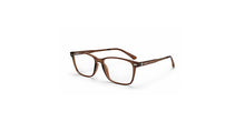 Vue TRMJ25009 Brown