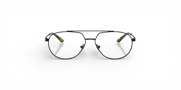 EMPORIO ARMANI OEA1165 3001 56